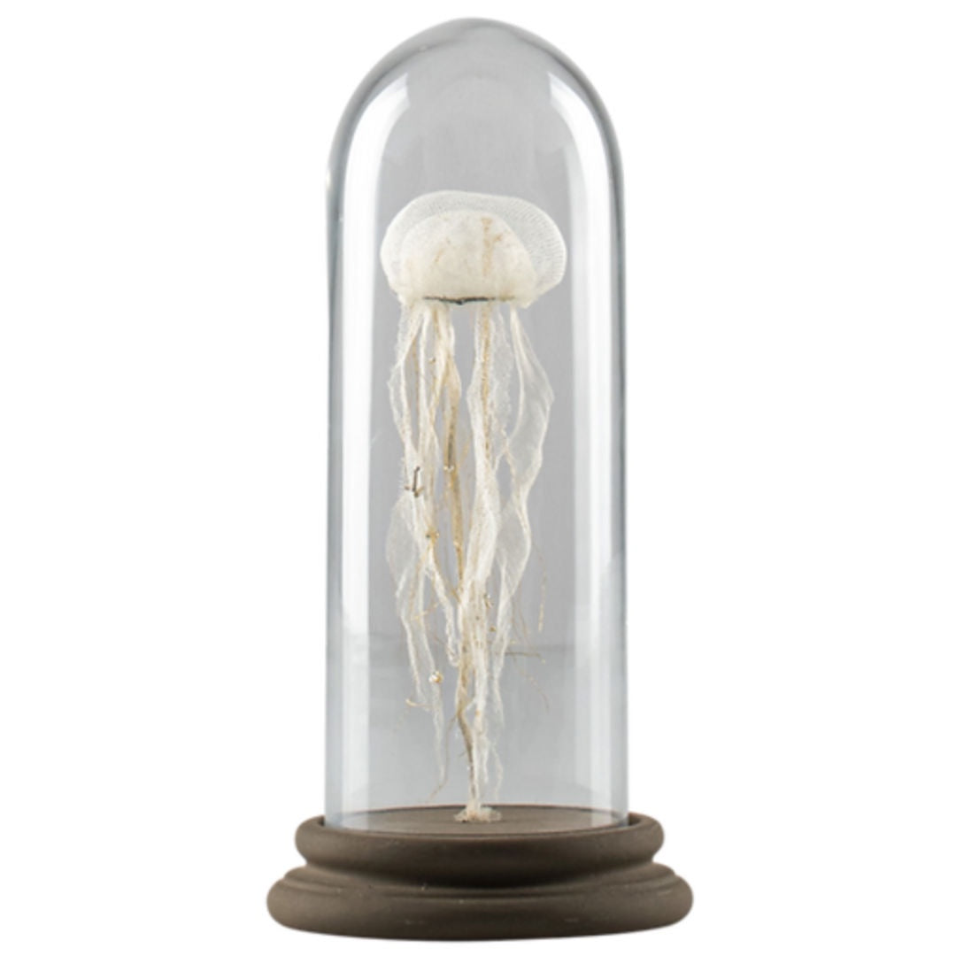 Baby Jellyfish Sculpture in Tube Glass | Made in Avignon-Suzie Anderson Home