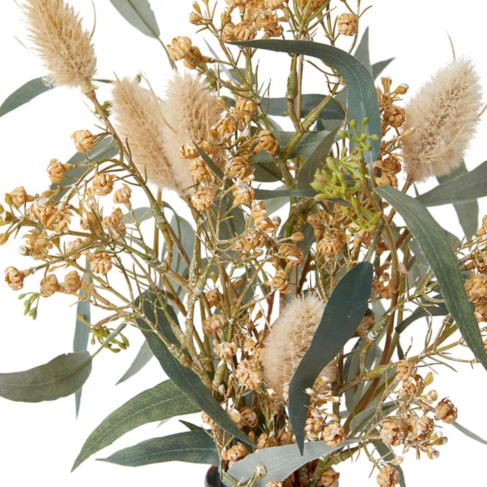 Bunny Tail Popcorn Flower Sprig | Brown Green-Suzie Anderson Home