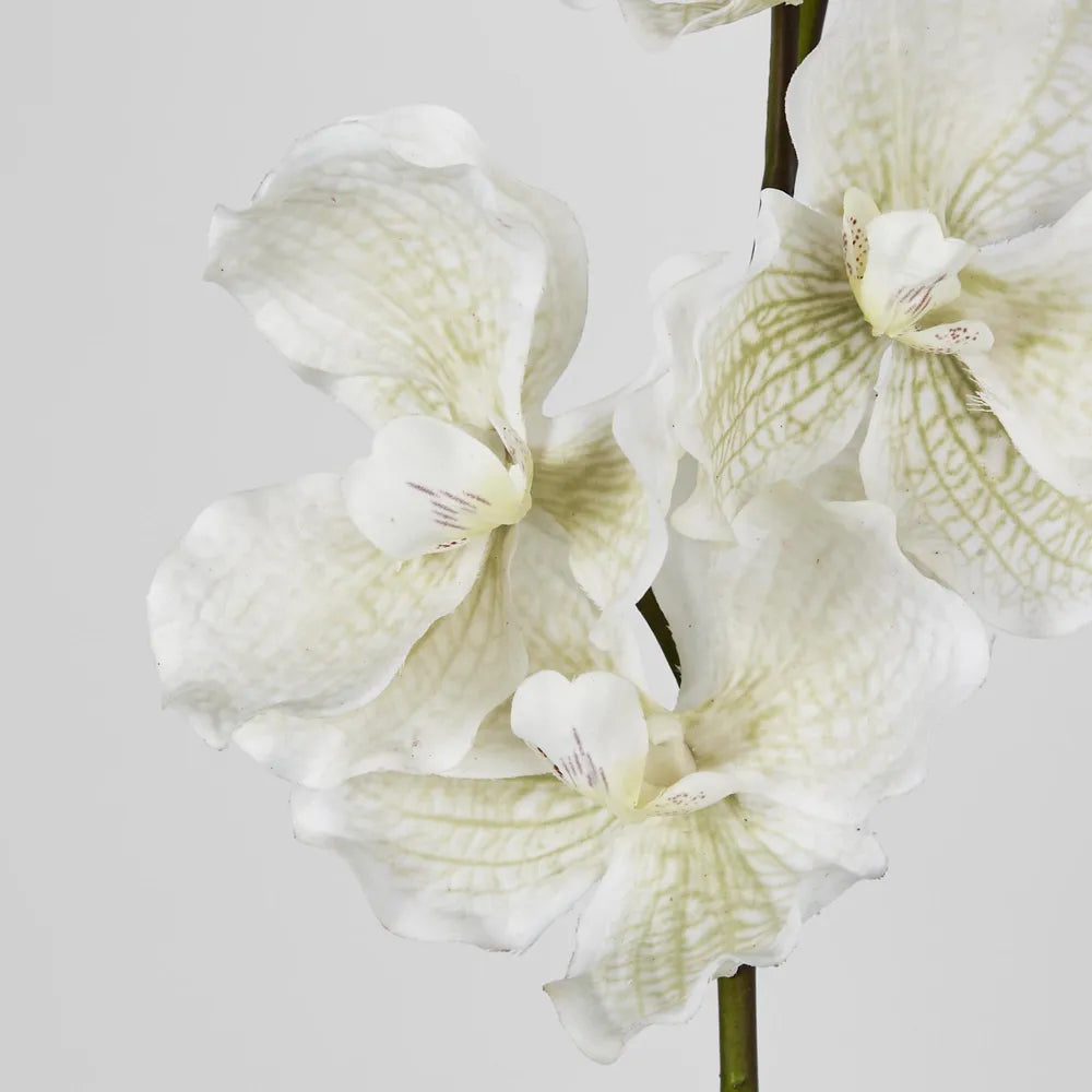 Orchid | White Real Touch | 78cm