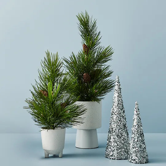 Artificial Jasper Pine Tree in Pot | Small-Suzie Anderson Home