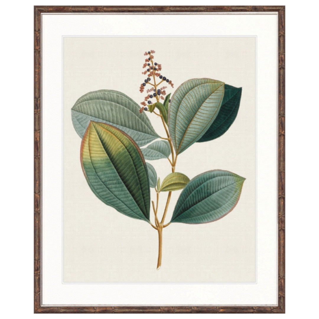 Floral Elegance V | Brown Bamboo Frame-Suzie Anderson Home