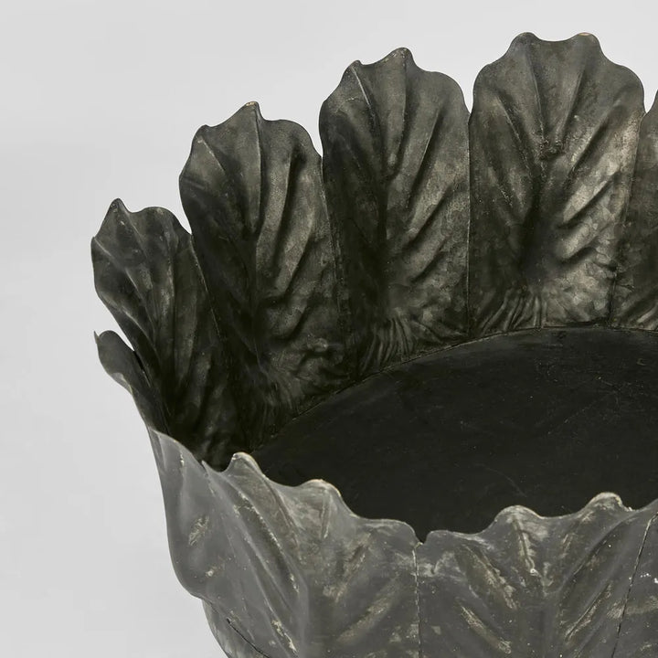 Zinc Kale Pot | Charcoal