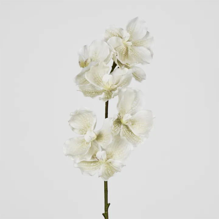 Orchid | White Real Touch | 78cm