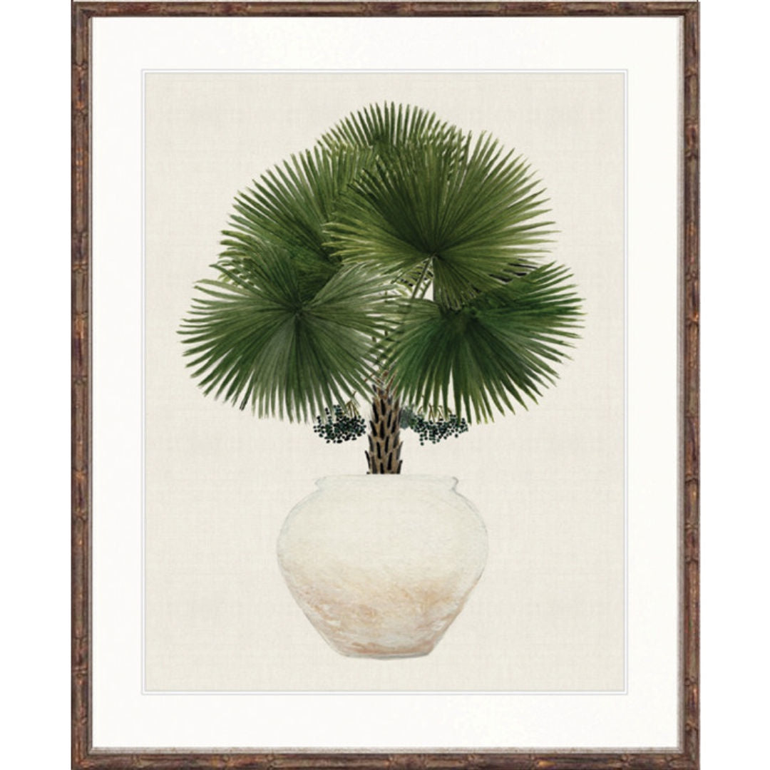 Palm Beauty IV Art Print | Bamboo Brown Frame-Suzie Anderson Home