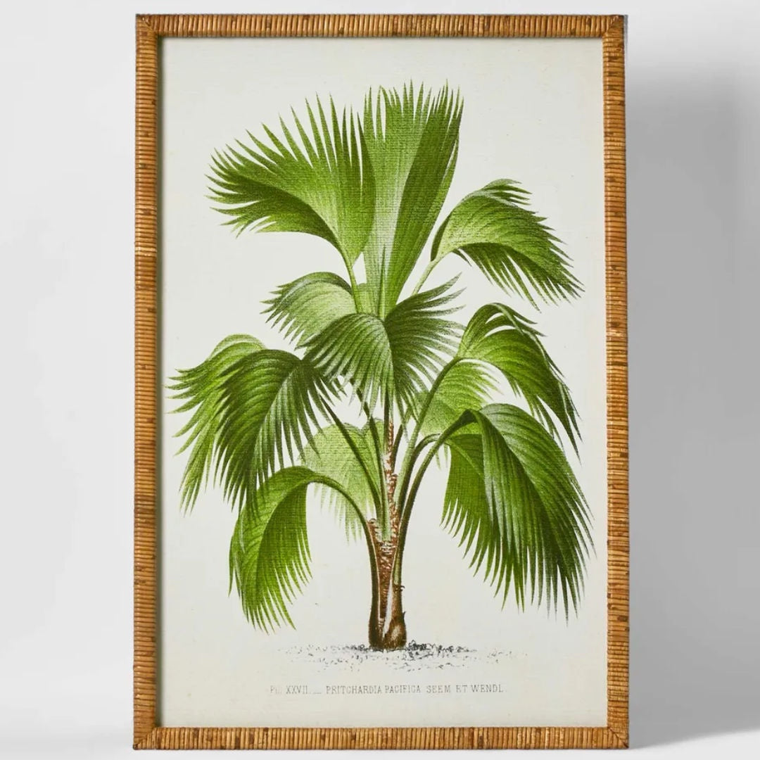 Palm Botanical | Art Print A | 60 x 90cm-Suzie Anderson Home