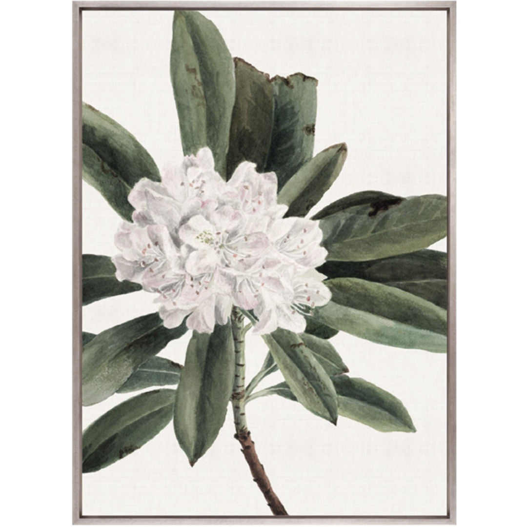 Phillipson Floral XII Canvas Art | Champagne Silver Shadow Box Framed Canvas-Suzie Anderson Home