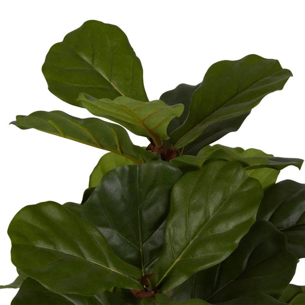 Potted Fiddle Leaf Fig Tree w 36 Leaves-Suzie Anderson Home