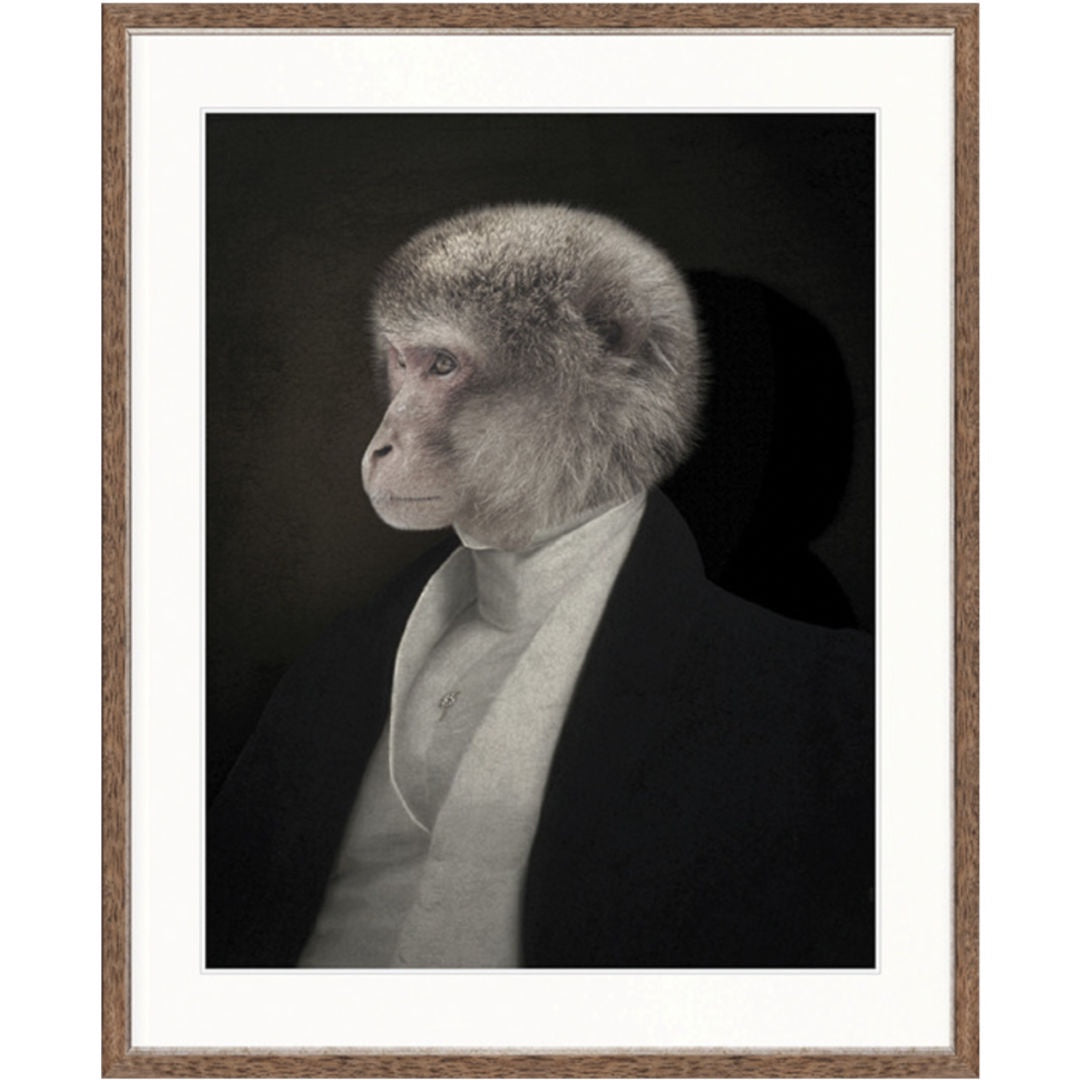 Sir Leopold V Art Print | Boston Walnut Frame-Suzie Anderson Home