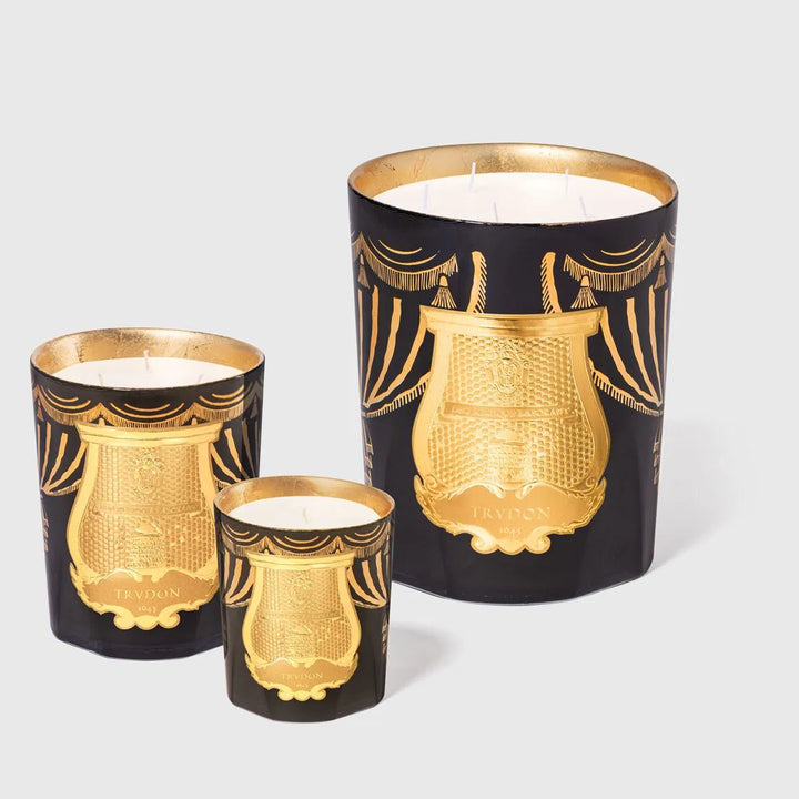 Trudon Fir Intermezzo Candle | Christmas 2024 | 800g