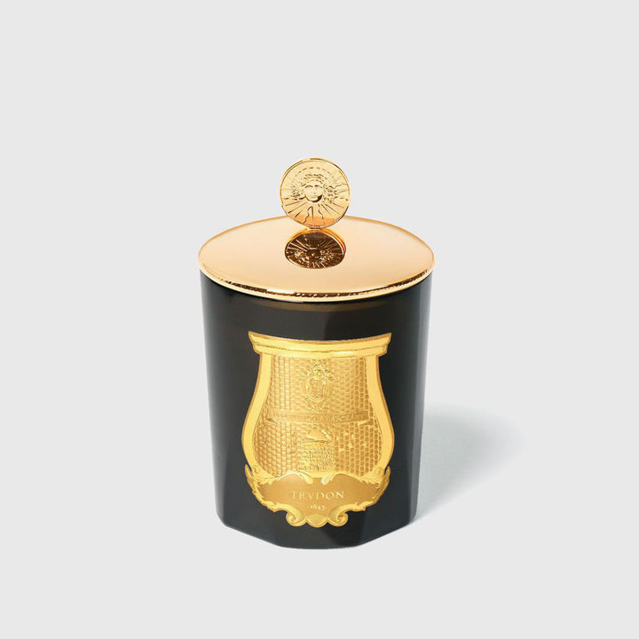 Trudon | Solis Rex Louis XIV Candle Topper | Polished Bronze-Suzie Anderson Home