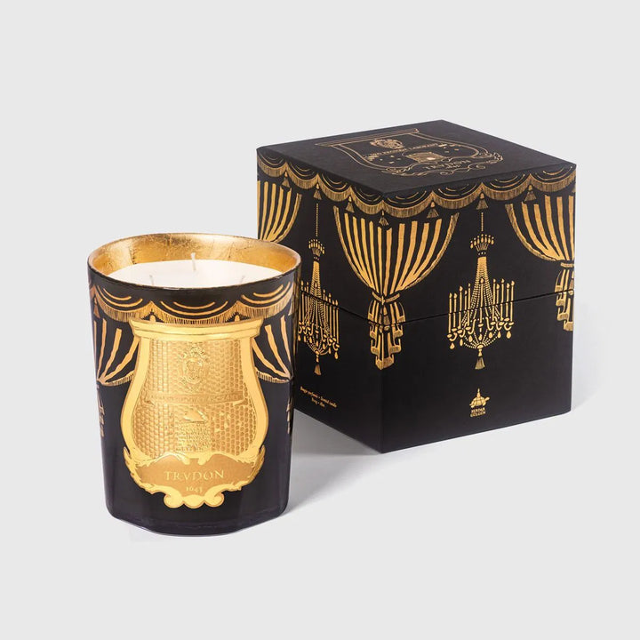 Trudon Fir Intermezzo Candle | Christmas 2024 | 800g