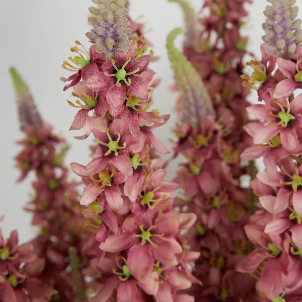 Veronica Arrangement in Cement Pot | Hot Pink | L45xW52xH80-Suzie Anderson Home