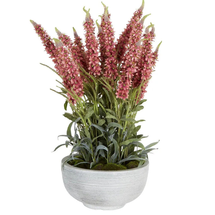 Veronica Arrangement in Cement Pot | Hot Pink | L45xW52xH80-Suzie Anderson Home